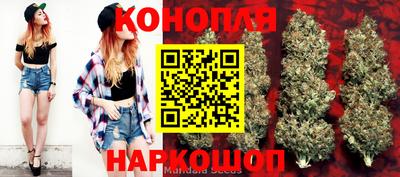 СК Балашиха
