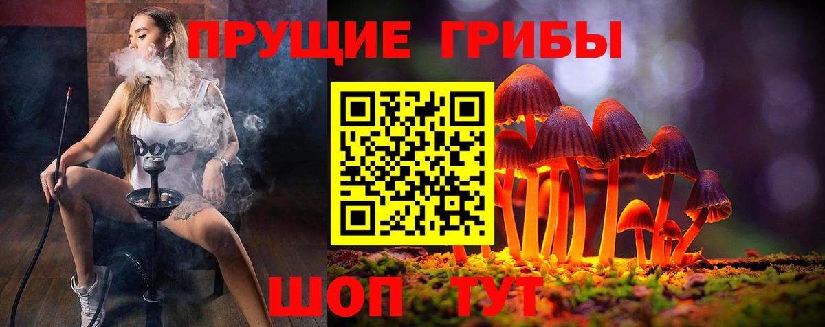 Галлюциногенные грибы ЛСД Владимир