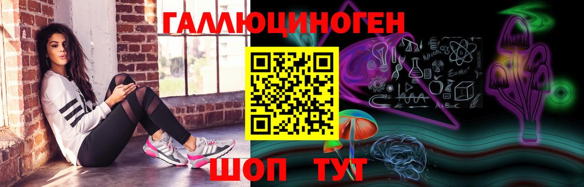 Псилоцибиновые грибы GOLDEN TEACHER  Галлюциногенные грибы мухоморы  Вход с VPN  Владимир 